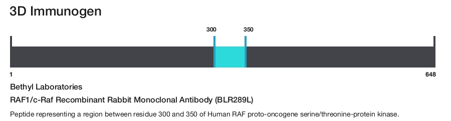 RAF1/c-Raf Recombinant Rabbit Monoclonal Antibody (BLR289L)