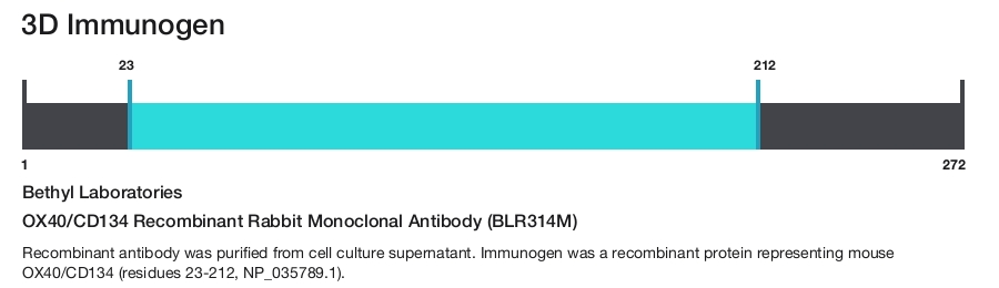 OX40/CD134 Recombinant Rabbit Monoclonal Antibody (BLR314M)