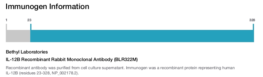IL-12B Recombinant Rabbit Monoclonal Antibody (BLR322M)