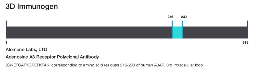 Adenosine A3 Receptor Polyclonal Antibody