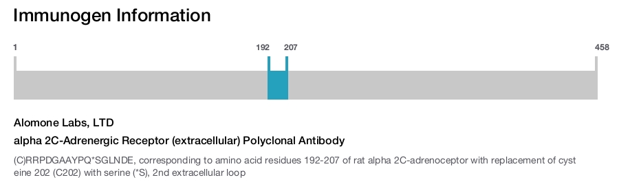 alpha 2C-Adrenergic Receptor (extracellular) Polyclonal Antibody