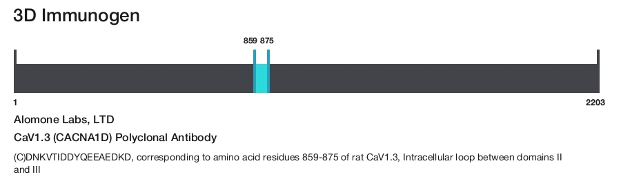 CaV1.3 (CACNA1D) Polyclonal Antibody