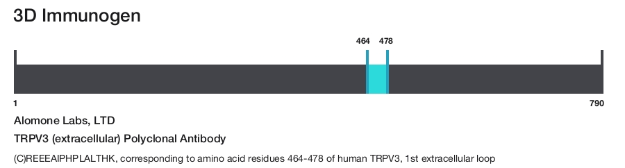 TRPV3 (extracellular) Polyclonal Antibody