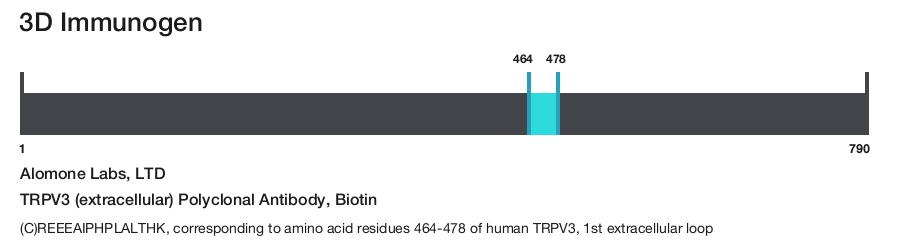 TRPV3 (extracellular) Polyclonal Antibody, Biotin