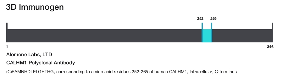 CALHM1 Polyclonal Antibody