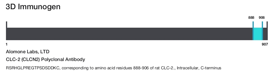 CLC-2 (CLCN2) Polyclonal Antibody