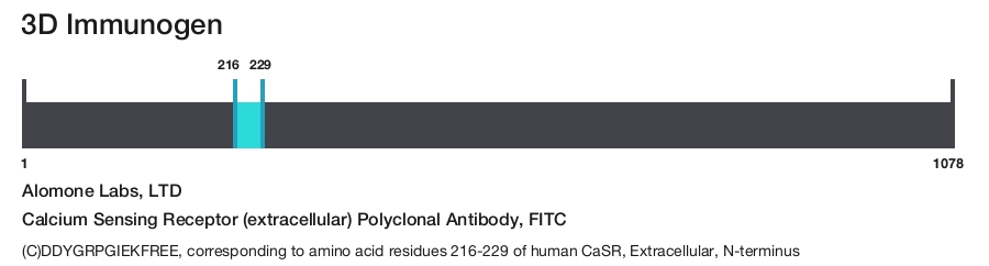Calcium Sensing Receptor (extracellular) Polyclonal Antibody, FITC