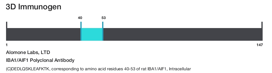 IBA1/AIF1 Polyclonal Antibody