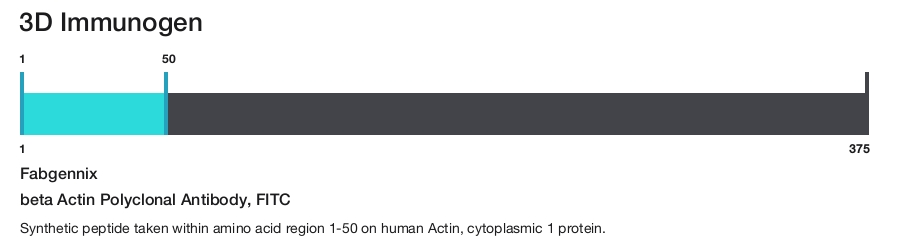 beta Actin Polyclonal Antibody, FITC