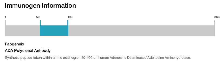ADA Polyclonal Antibody