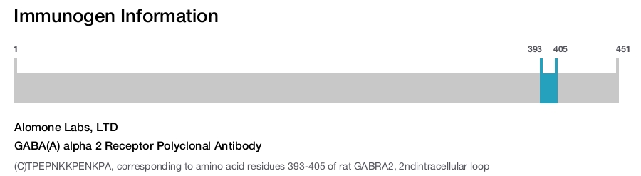 GABA(A) alpha 2 Receptor Polyclonal Antibody
