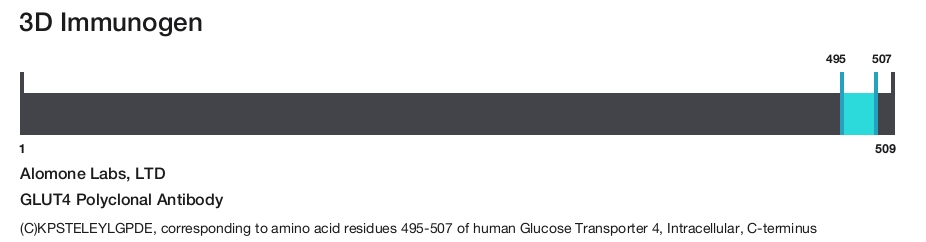 GLUT4 Polyclonal Antibody