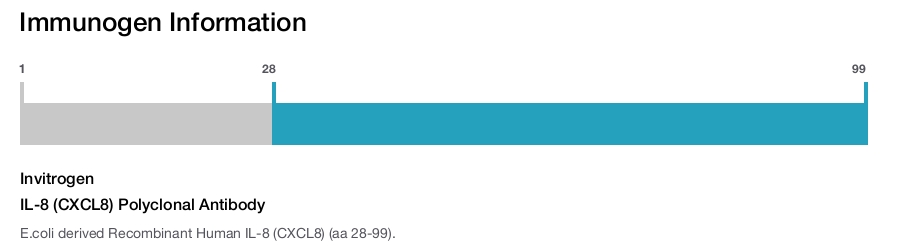 IL-8 (CXCL8) Polyclonal Antibody