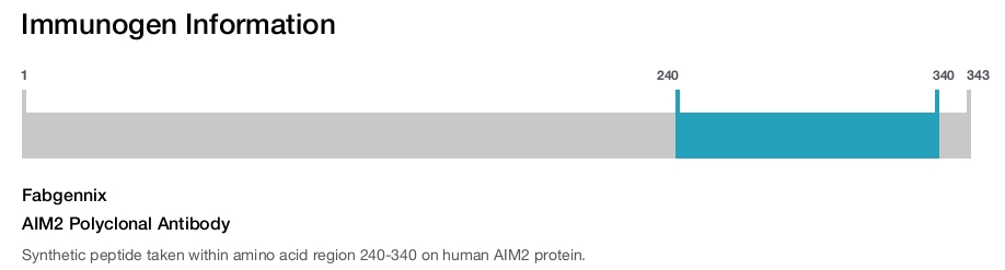 AIM2 Polyclonal Antibody