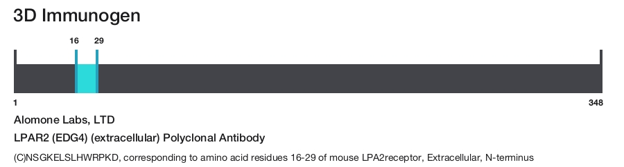 LPAR2 (EDG4) (extracellular) Polyclonal Antibody