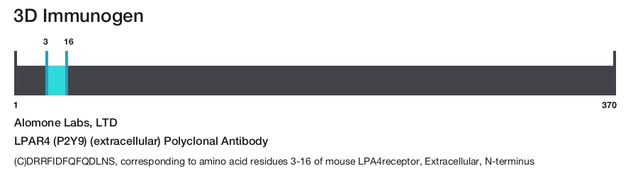LPAR4 (P2Y9) (extracellular) Polyclonal Antibody