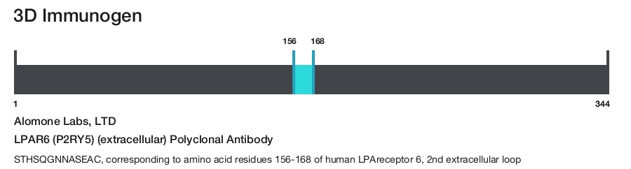LPAR6 (P2RY5) (extracellular) Polyclonal Antibody