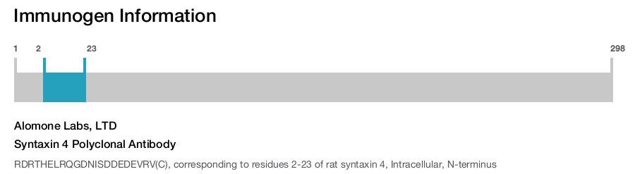 Syntaxin 4 Polyclonal Antibody