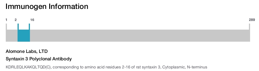 Syntaxin 3 Polyclonal Antibody