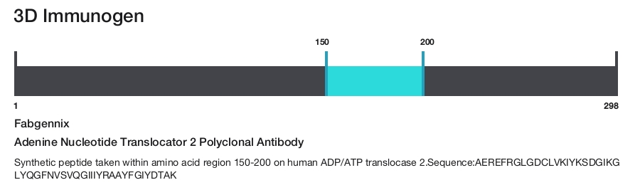 Adenine Nucleotide Translocator 2 Polyclonal Antibody