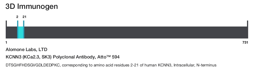 KCNN3 (KCa2.3, SK3) Polyclonal Antibody, Atto&trade; 594