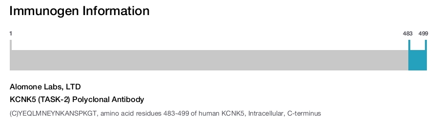 KCNK5 (TASK-2) Polyclonal Antibody