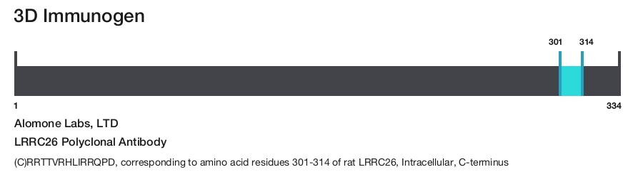 LRRC26 Polyclonal Antibody