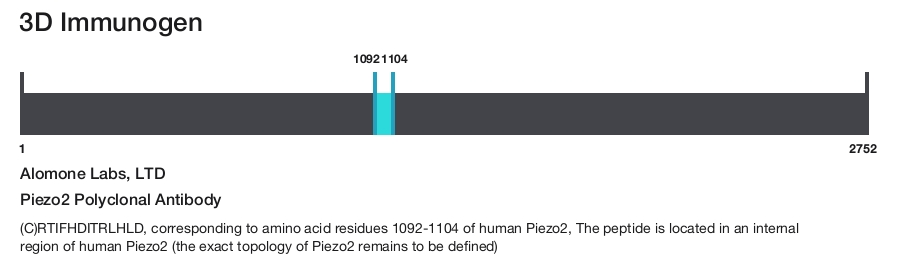 Piezo2 Polyclonal Antibody