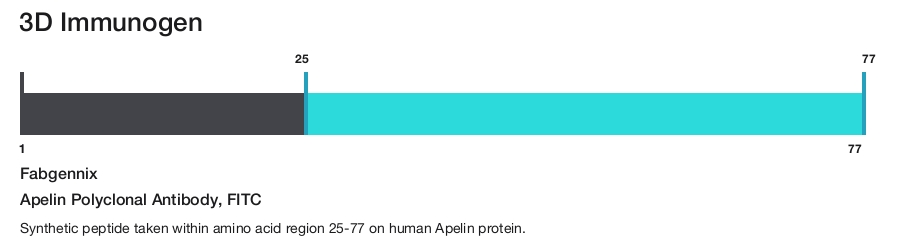 Apelin Polyclonal Antibody, FITC