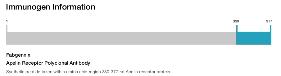Apelin Receptor Polyclonal Antibody