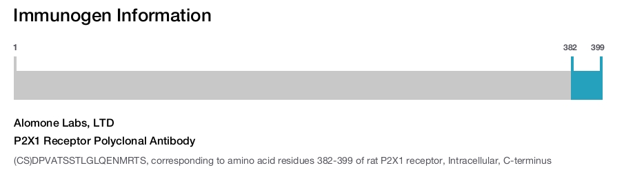 P2X1 Receptor Polyclonal Antibody