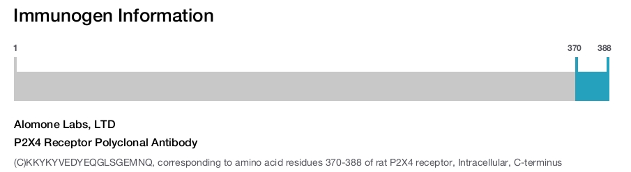 P2X4 Receptor Polyclonal Antibody