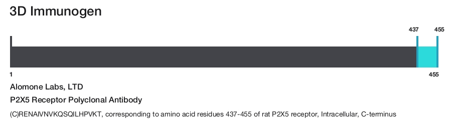 P2X5 Receptor Polyclonal Antibody