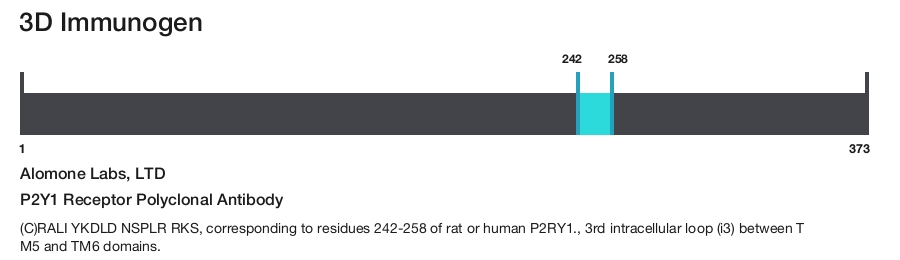 P2Y1 Receptor Polyclonal Antibody