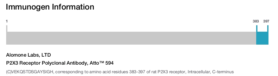 P2X3 Receptor Polyclonal Antibody, Atto&trade; 594