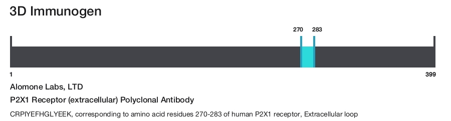 P2X1 Receptor (extracellular) Polyclonal Antibody