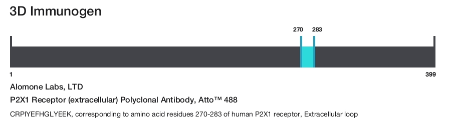 P2X1 Receptor (extracellular) Polyclonal Antibody, Atto&trade; 488