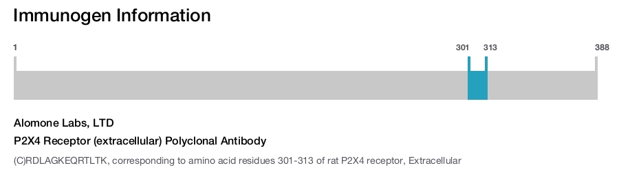 P2X4 Receptor (extracellular) Polyclonal Antibody