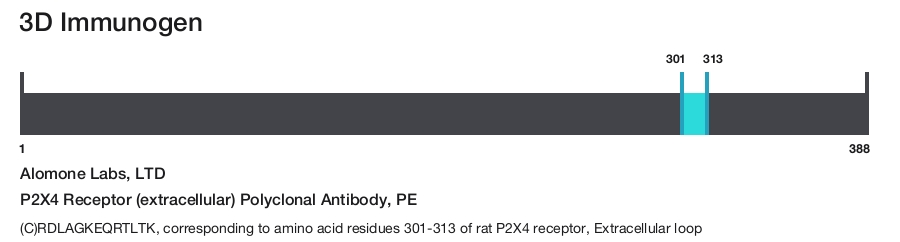 P2X4 Receptor (extracellular) Polyclonal Antibody, PE