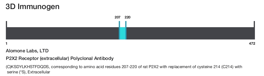P2X2 Receptor (extracellular) Polyclonal Antibody