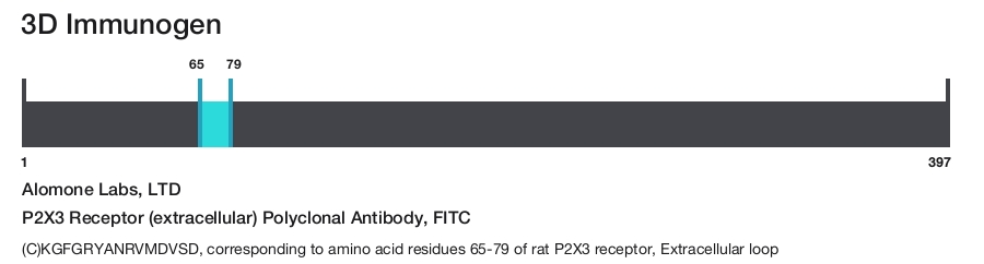 P2X3 Receptor (extracellular) Polyclonal Antibody, FITC