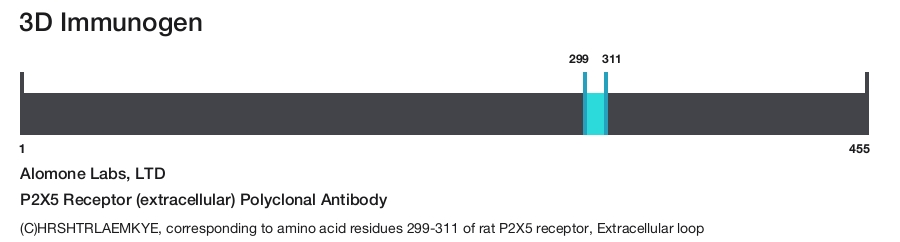 P2X5 Receptor (extracellular) Polyclonal Antibody