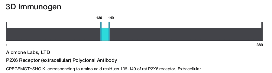 P2X6 Receptor (extracellular) Polyclonal Antibody