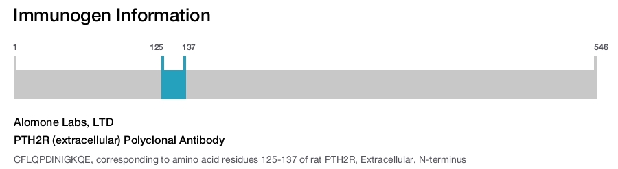 PTH2R (extracellular) Polyclonal Antibody