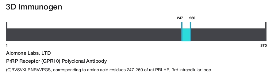 PrRP Receptor (GPR10) Polyclonal Antibody
