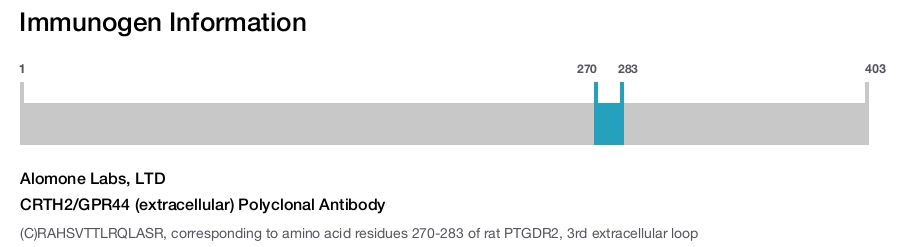CRTH2/GPR44 (extracellular) Polyclonal Antibody