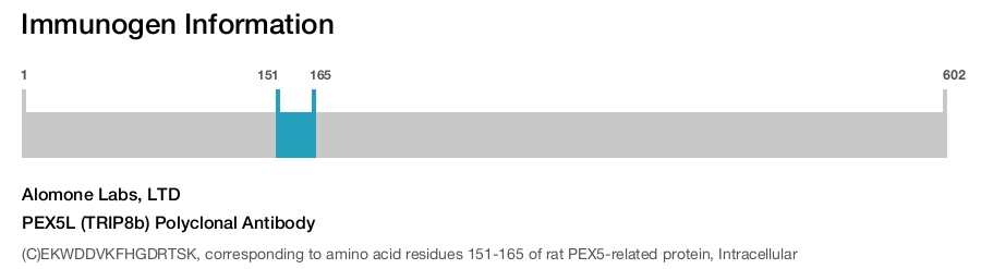 PEX5L (TRIP8b) Polyclonal Antibody