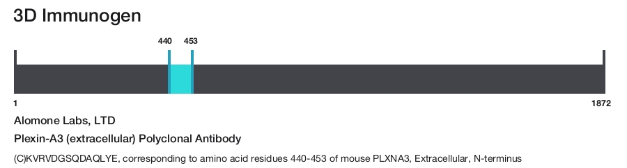 Plexin-A3 (extracellular) Polyclonal Antibody