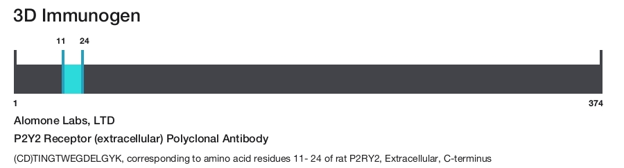 P2Y2 Receptor (extracellular) Polyclonal Antibody
