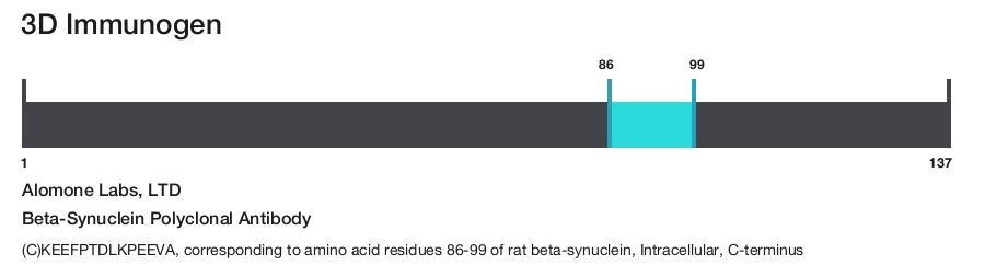 Beta-Synuclein Polyclonal Antibody